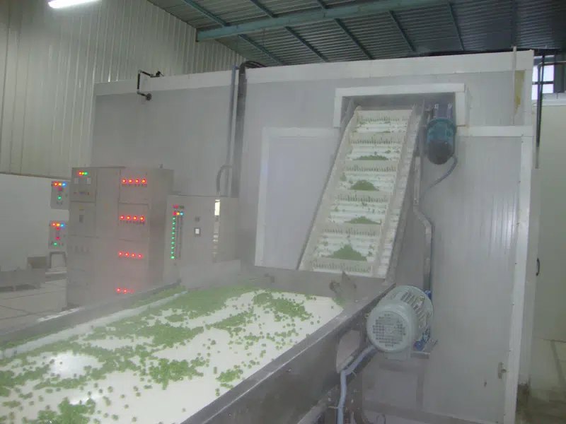 SLD Series Fluidized Bed IQF Freezer - 图片 2