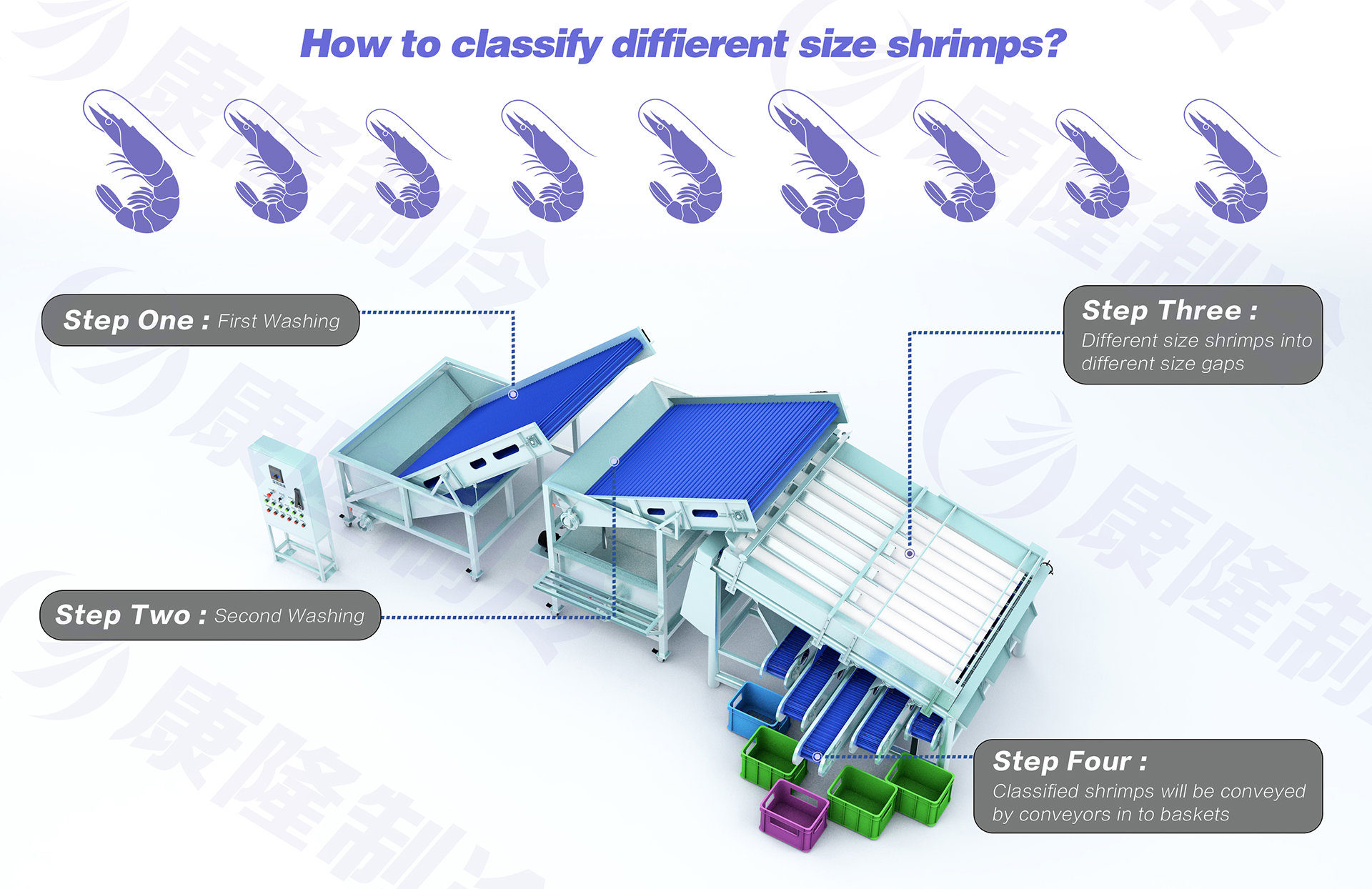 shrimp grading machine